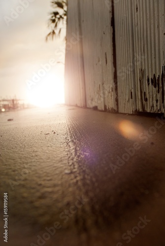 A close up from the ground in the port of Hamburg with a palm in the background