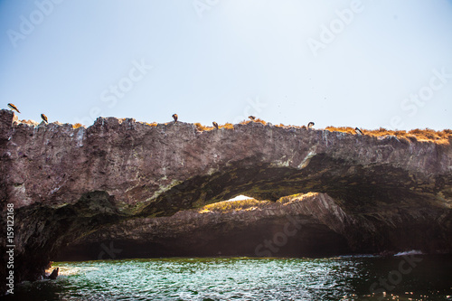 Blue footed boobies on Marietas Islands in Mexico
