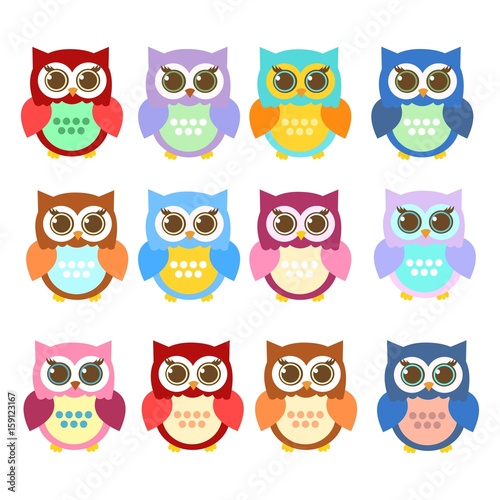 Wallpaper Mural colorful owl Torontodigital.ca