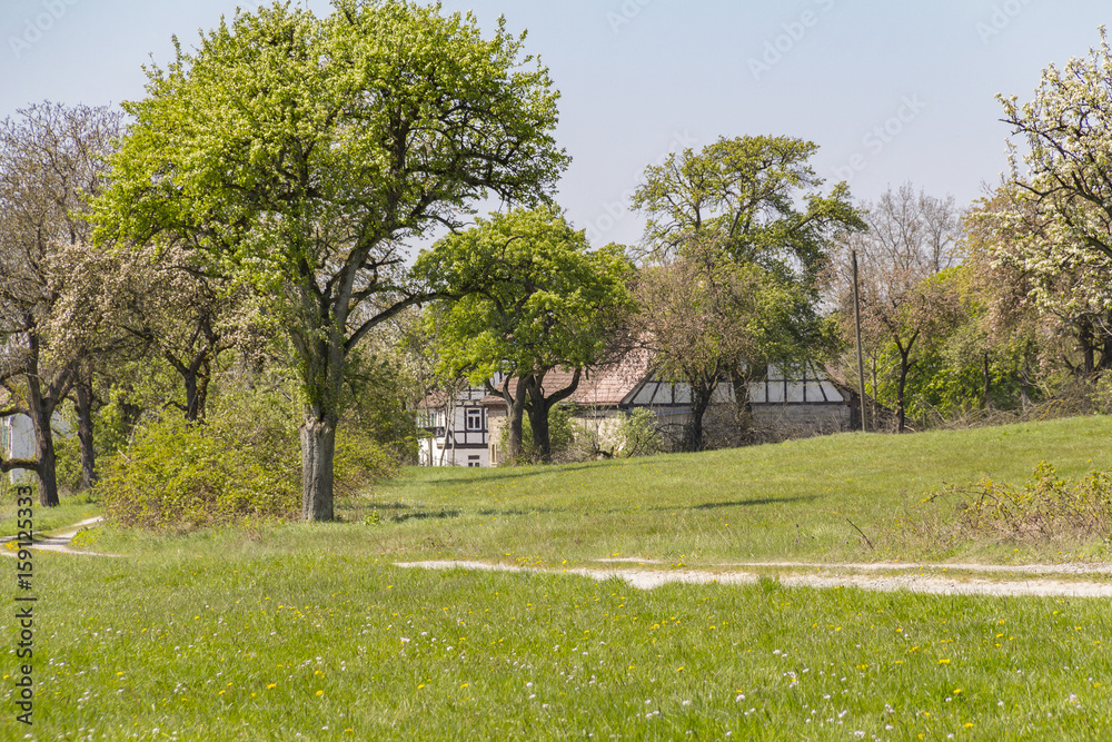farmstead at spring time