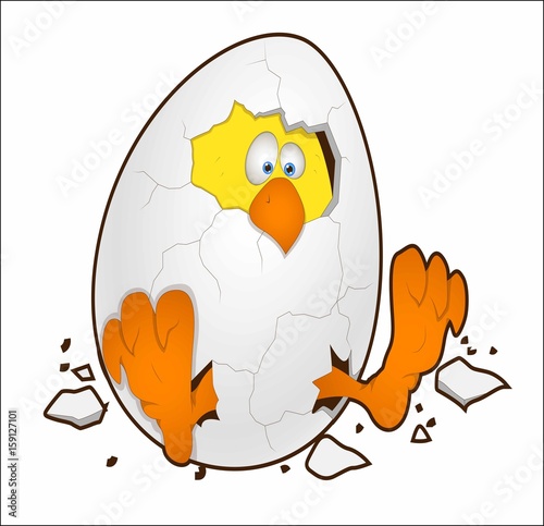 The chick hatched from the egg