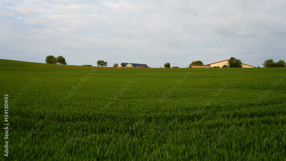 Fototapeta premium Felder Naturschutz Deutschland