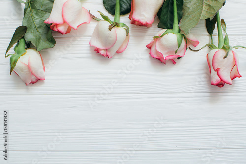 Roses on a white wooden background.