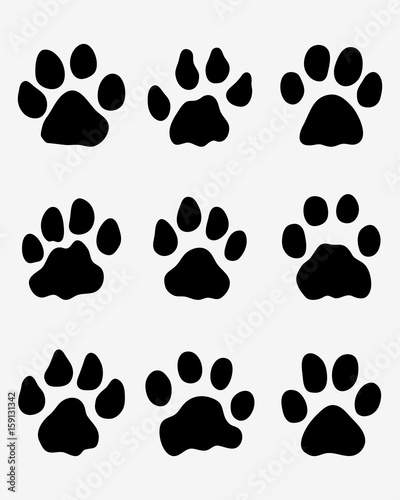 Black footprints of lions on a white background