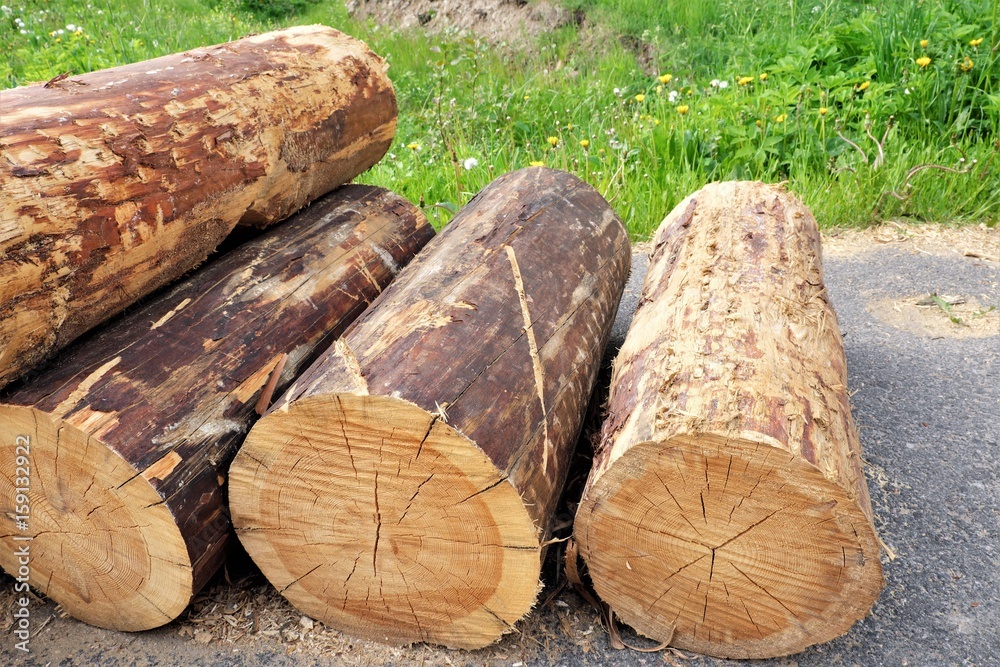 Firewood in the yard different sizes Firewood in the yard different sizes