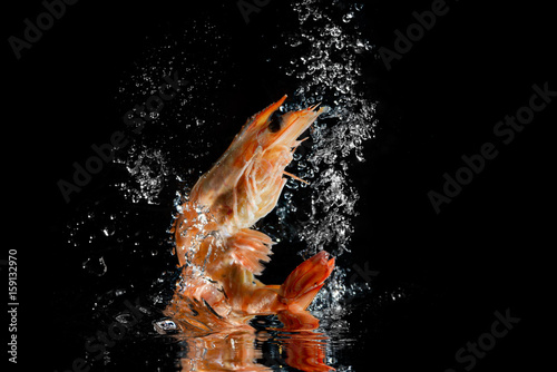 Shrimp in the water, black background splash © rafciu1988