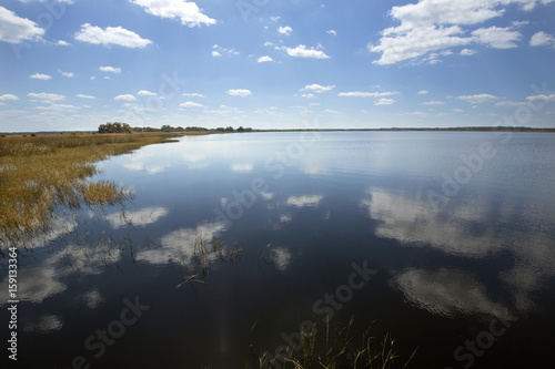 Fototapeta Naklejka Na Ścianę i Meble -  Marsh on shore of Lake Tohopekaliga on a spring day.