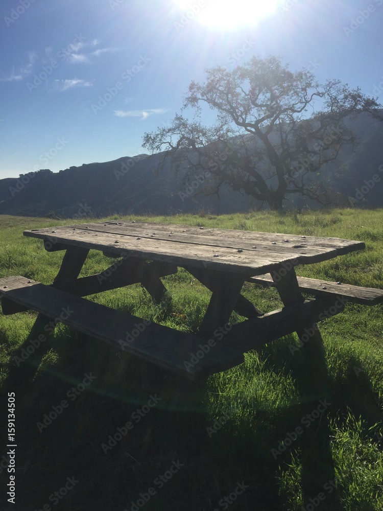 Bench On Hiking Trail