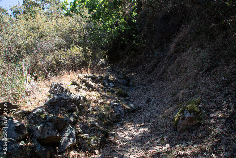 Percorso, Sentiero Naturalistico Calavà 