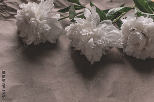 White peonies pattern on craft paper background with copy space, flat lay