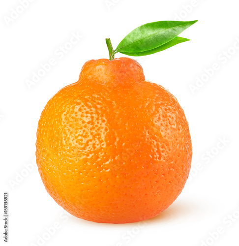 Isolated citrus fruit. One minneola tangelo with leaves isolated on white background with clipping path