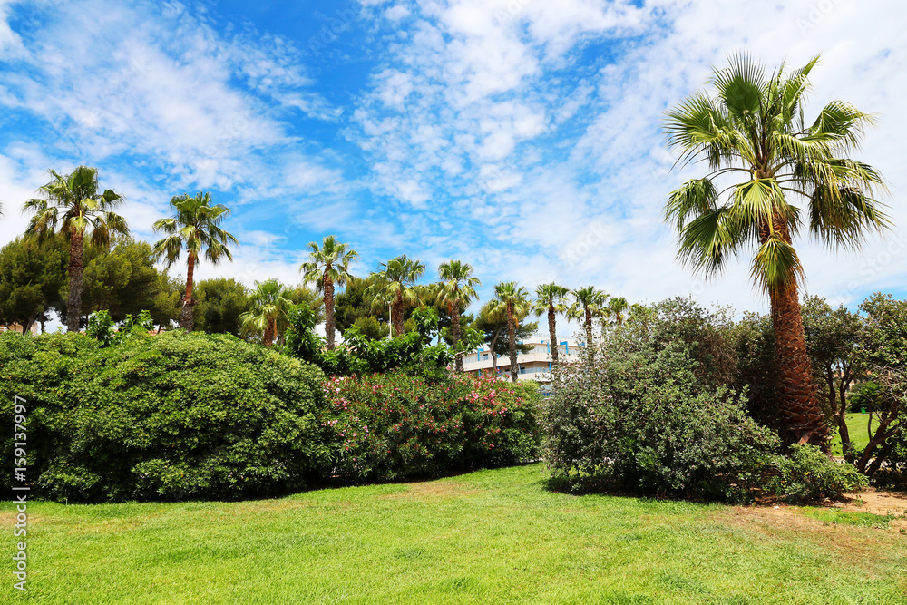 park with palm trees in Hyères - French Riviera