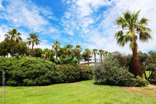 Obraz na płótnie park with palm trees in Hyères - French Riviera w salonie