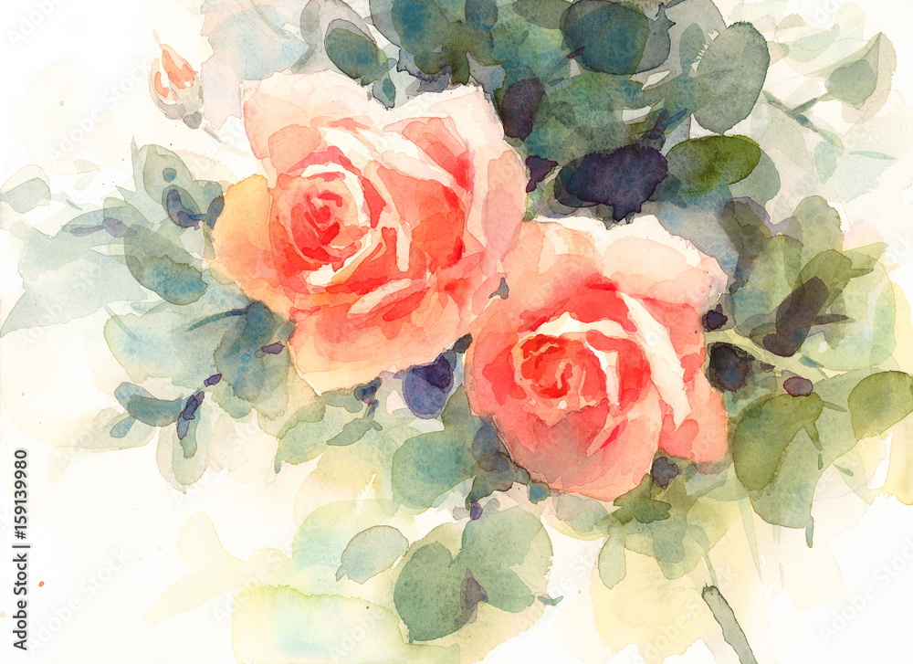 Obraz Akwareli kwiatów róż kwiecista tło tekstura Wręcza Malującą ilustrację