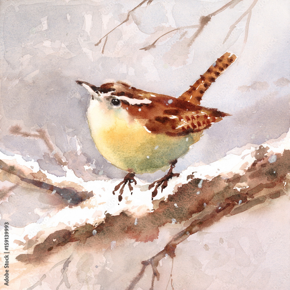 Obraz Akwarela ptak zima strzyżyk Karolina na gałęzi ręcznie malowane ilustracja
