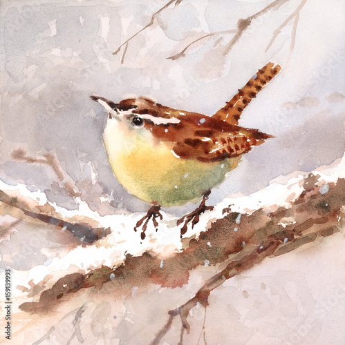 Obraz na płótnie Akwarela ptak zima strzyżyk Karolina na gałęzi ręcznie malowane ilustracja
