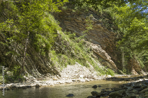 mountain stream in the forest