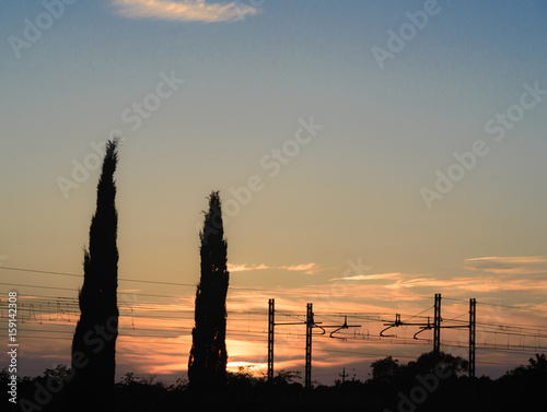 Silhouette of cypress trees and train cable at sunset © Overburn