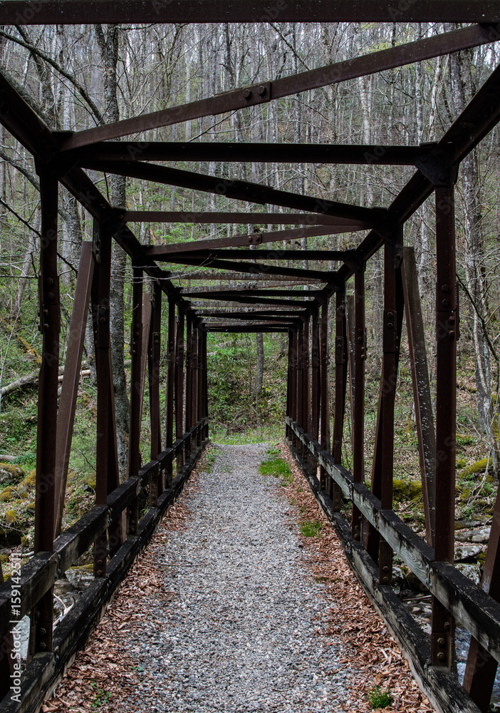 Looking Through Rusted Iron Trestle Bridge