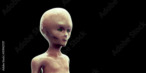 Fotografie Extremely detailed and realistic high resolution 3d image of an extra terrestrial alien on black background
