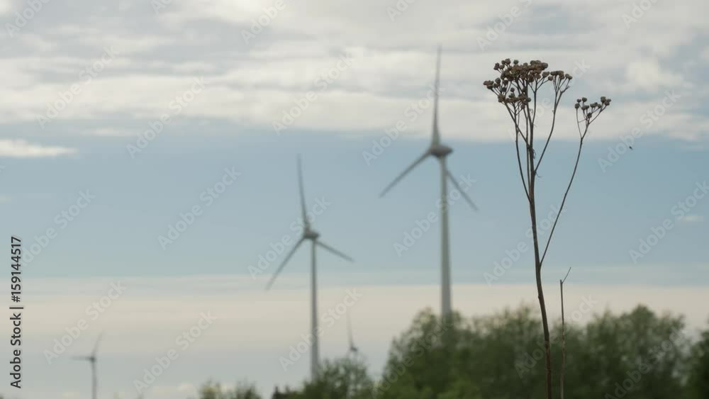 Wind turbine farm, electric power generators, on field on cloudy sky background. Renewable energy production. Wind turbine farm, electric power generators, on field on cloudy sky background. Renewable energy production.