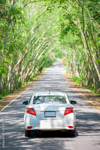 white car in tree tunnel