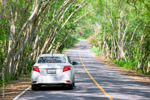 white car in tree tunnel