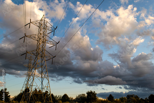 Transmission Line Towering Over Tree Tops