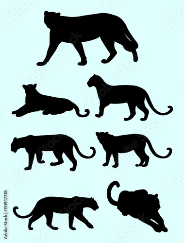 Panthers and leopards silhouette. Good use for symbol  logo  web icon  mascot  sign  or any design you want.