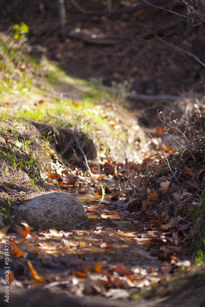 Creek Creek