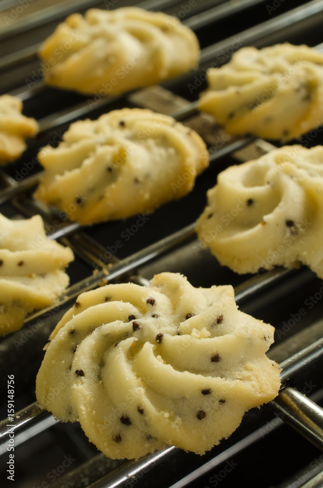 Freshly baked sugar cookies on a tray rack Freshly baked sugar cookies on a tray rack