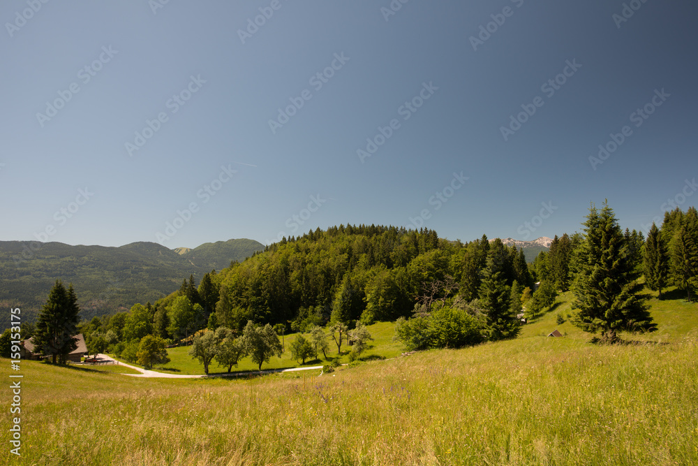 Beautiful mountain landscape, at Julian Alps, Slovenia