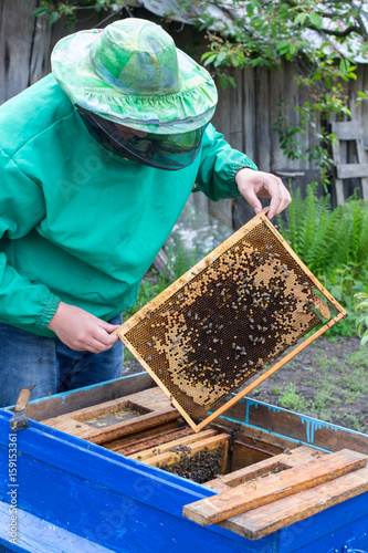 Beekeeper holding a frame of honeycomb with bees © Pavlo