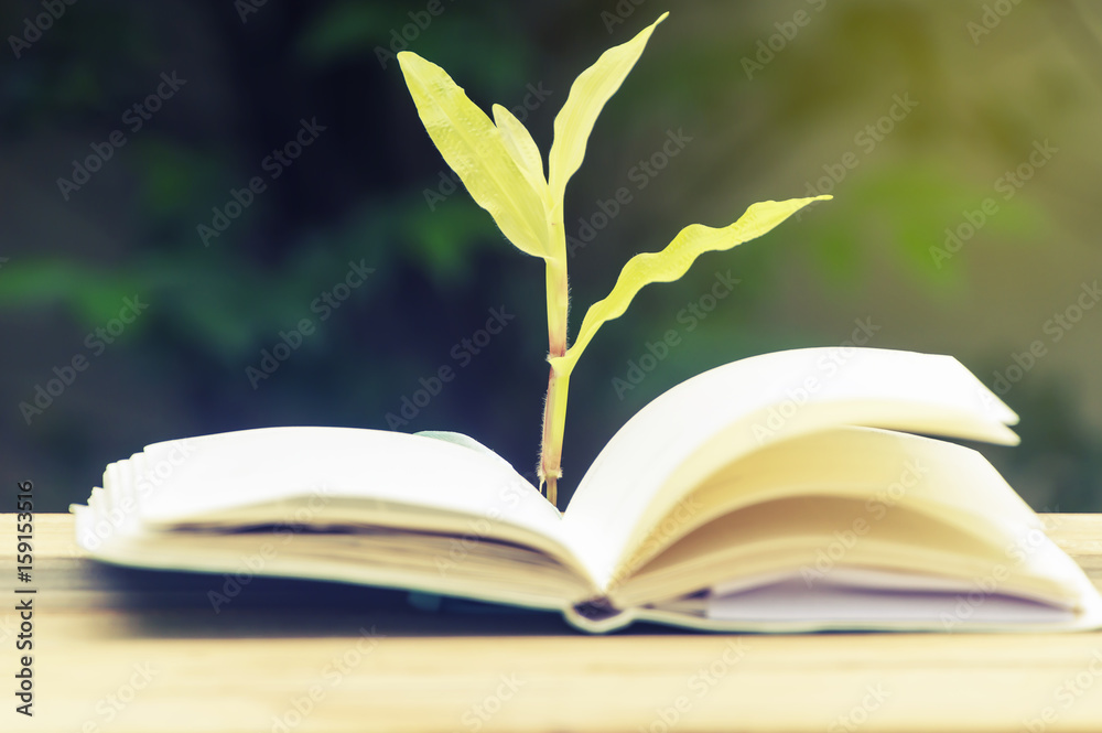 Open book green sprout on the background of the garden,Vintage tone.