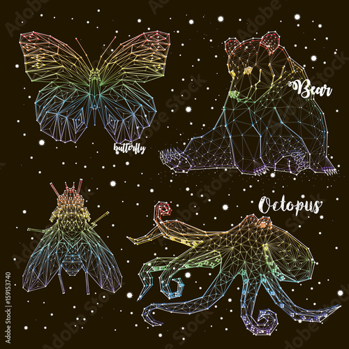 Set of constellations iridescent coloring. Butterfly, bear, fly, octopus