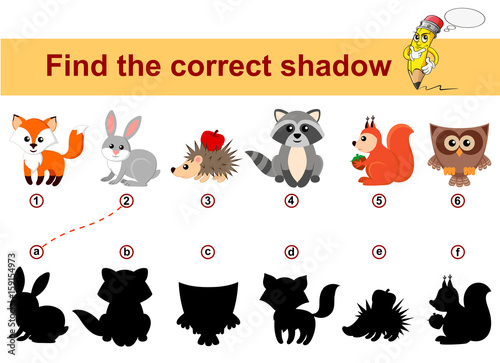 Find correct shadow. Kids educational game. Forest animals. Fox, rabbit, hedgehog, raccoon, squirrel, owl