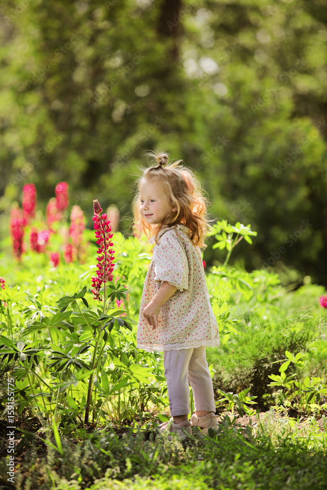 Portrait of little Little red hair girl playing in lupines field. Ginger sunny kid has fun in the garden surrounded by lush and flowers sunny day Portrait of little Little red hair girl playing in lupines field. Ginger sunny kid has fun in the garden surrounded by lush and flowers sunny day