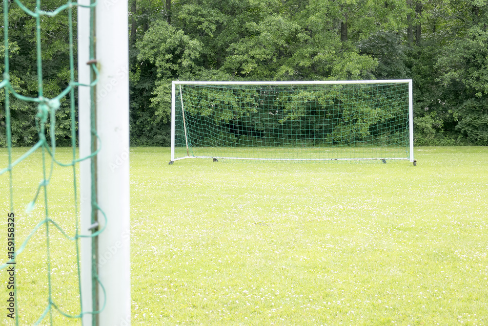 Fototapeta premium Empty soccer field with green grass. Net of goal. Nature in the background. Concept of summer leisure and sport.