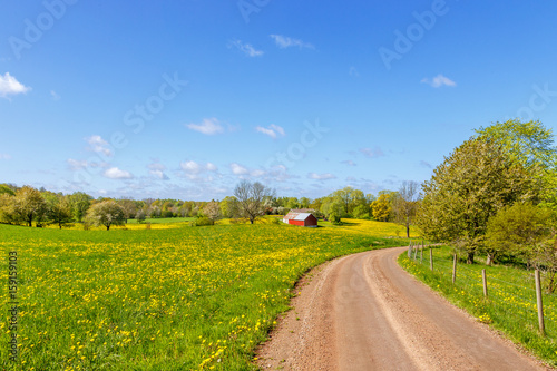 Country road through rural landscape in spring