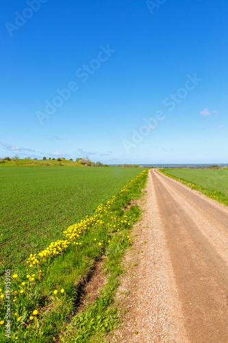 Gravel road leading towards the horizon