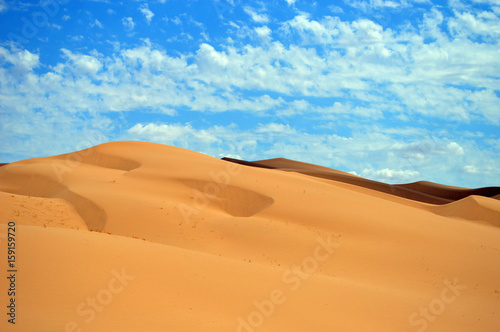 Wüste in Nevada