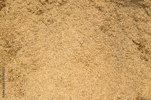 Rice in the husks, Rice peel background and texture