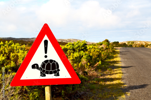  in south africa close up of the turtle sign
