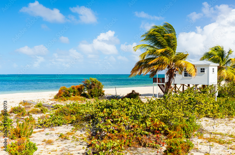 Fototapeta premium Idyllic beach at Caribbean