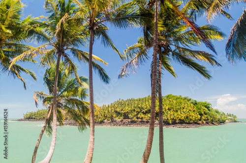 Fototapeta Naklejka Na Ścianę i Meble -  View of Ile Saint Joseph island from Ile Royale in archipelago of Iles du Salut (Islands of Salvation) in French Guiana