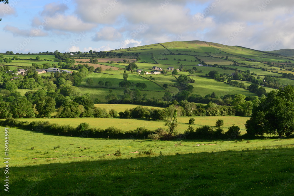 The Irish countryside in June.
