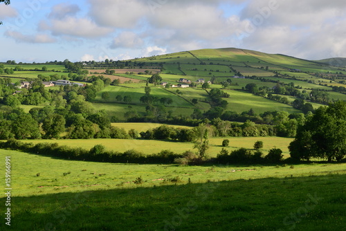 The Irish countryside in June.  