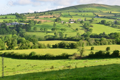 The Irish countryside in June.

