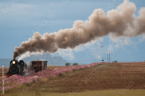 steam train at sandstone estates in south africa