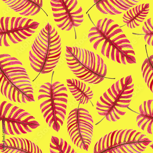 Monstera leaves, tropical watercolor pattern for design.